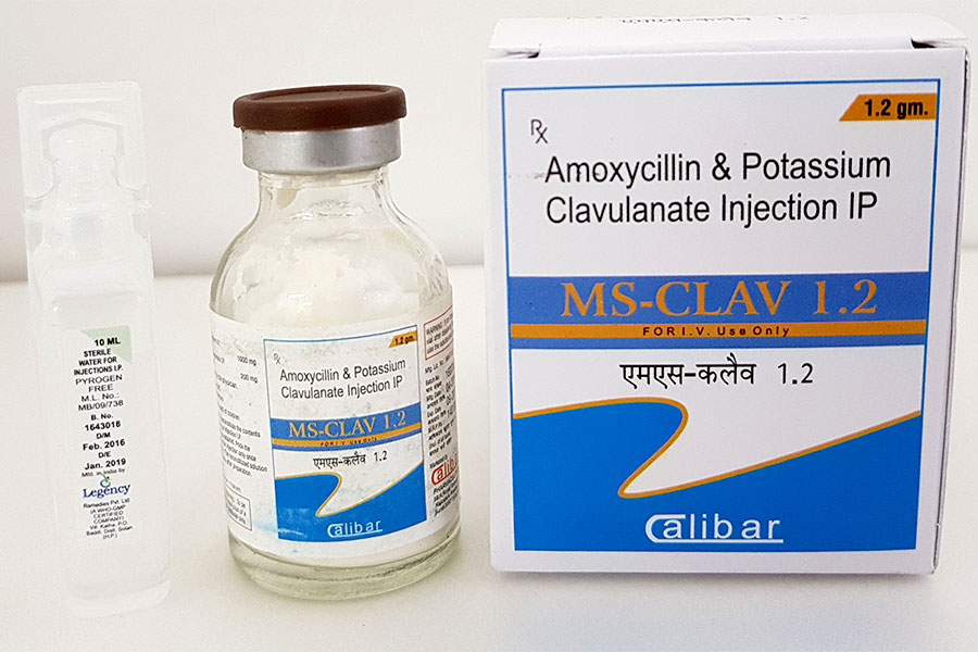 MS-CLAV - 1.2g Inj