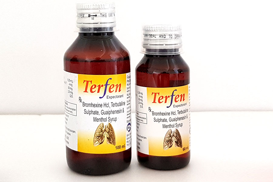 TERFEN Expectorant